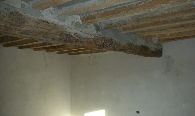 DSCN6740