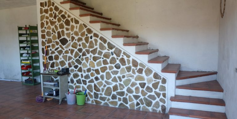 DSCF8470
