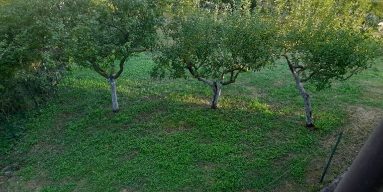 Zavattarello esterno particolare giardino 3